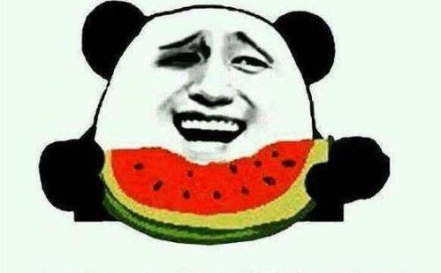 娱乐吃瓜酱卡皮,揭秘娱乐圈背后的秘密与八卦