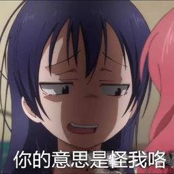 娱乐吃瓜酱人和人的羁绊,探寻人与人的羁绊之旅