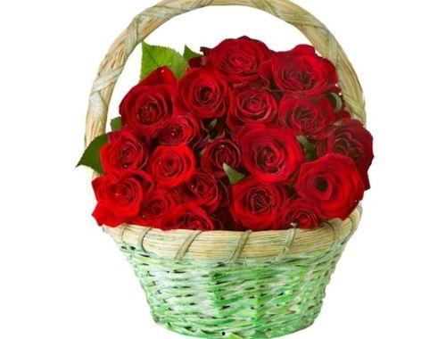 一心一意吃瓜娱乐,畅享吃瓜娱乐盛宴